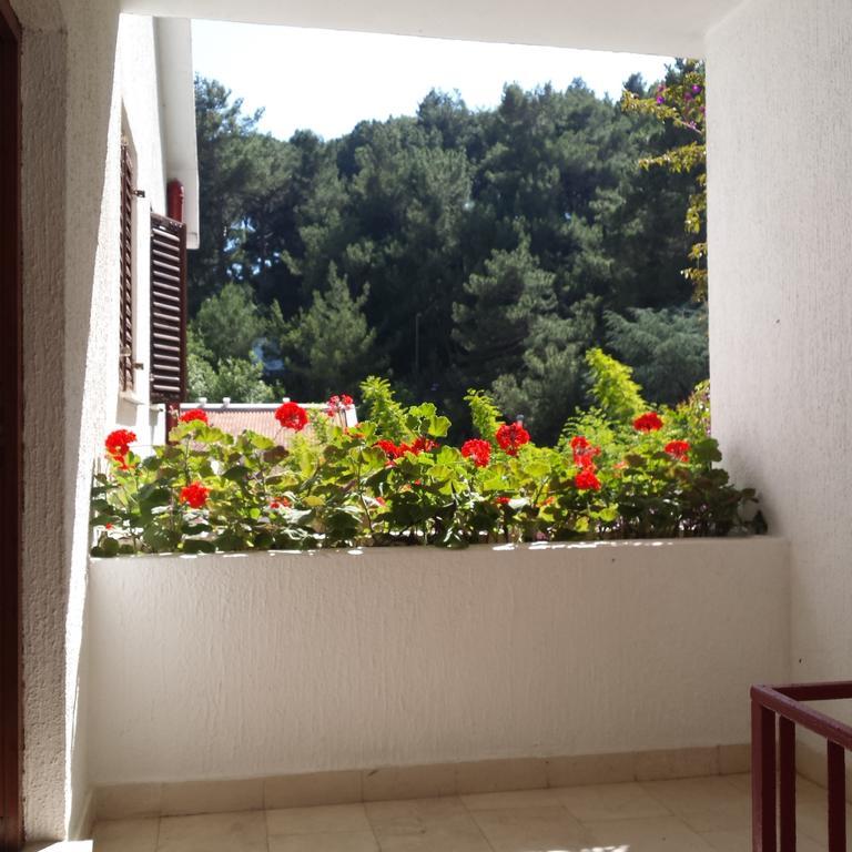 Apartments Almaja Villa Petrovac Extérieur photo